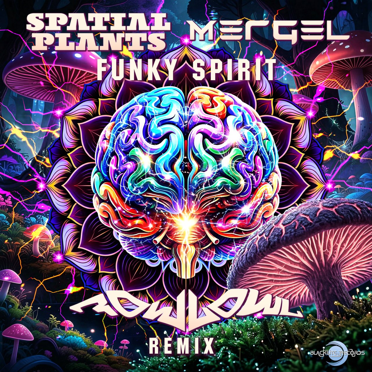Funky Spirit (FowlOwl Remix)